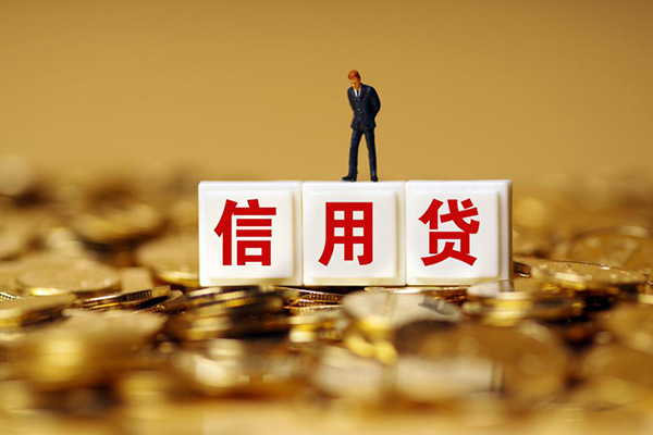 成都信急哪里可以借私借-成都信急个人贷款都有哪些平台-成都信急小额贷款